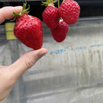 姫路ハートフル観光農園 - 