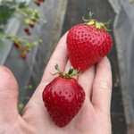 姫路ハートフル観光農園 - 