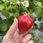 姫路ハートフル観光農園 - 