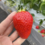 姫路ハートフル観光農園 - 