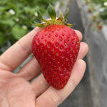 姫路ハートフル観光農園 - 