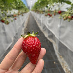 姫路ハートフル観光農園 - 