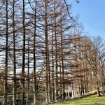 ヨークシャーファーム - 