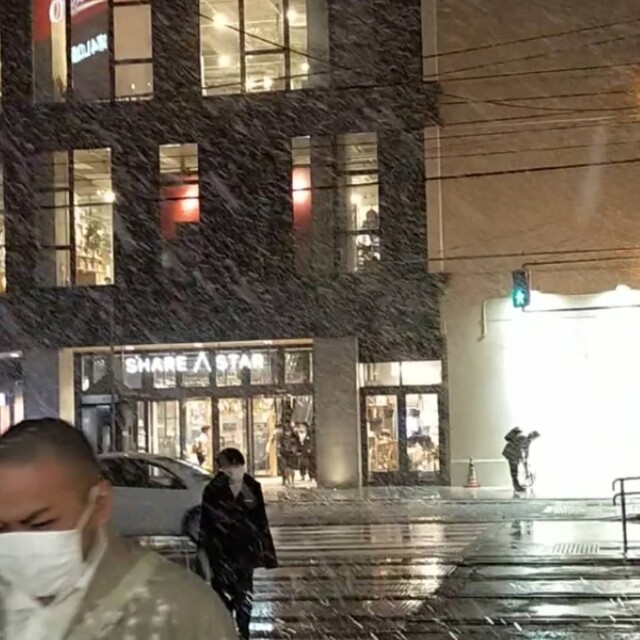 串バル otori - 五稜郭公園前（焼き鳥）の写真