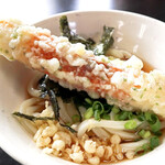 マルタニ製麺 - 角が反り返る見た目でも好みの うどんだと分かる旨いうどんでした。