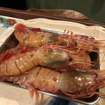 うを徳 - 羽幌産ボタン海老