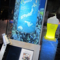 MAIMON GINZA - 