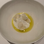 カンテサンス - 