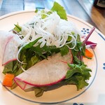 トラットリア ピエトラ ビアンカ - ⚫無農薬野菜のサラダ