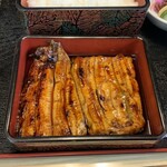 Unagi Kanebako - 