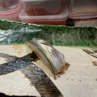 江戸前 寿し政 別館 - 