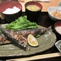 赤坂あじさい - 