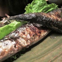 赤坂あじさい - 