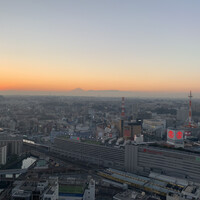 横浜 星のなる木 - 