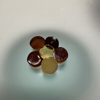 レストランエール - 