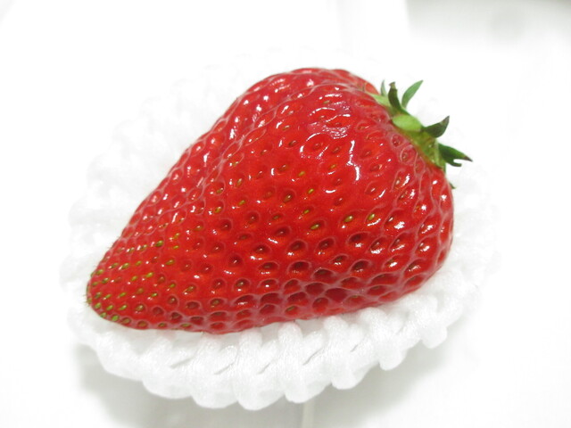 フルーツパーク DETO &ndash; 出戸浜のフレッシュフルーツカフェ｜秋田・潟上市