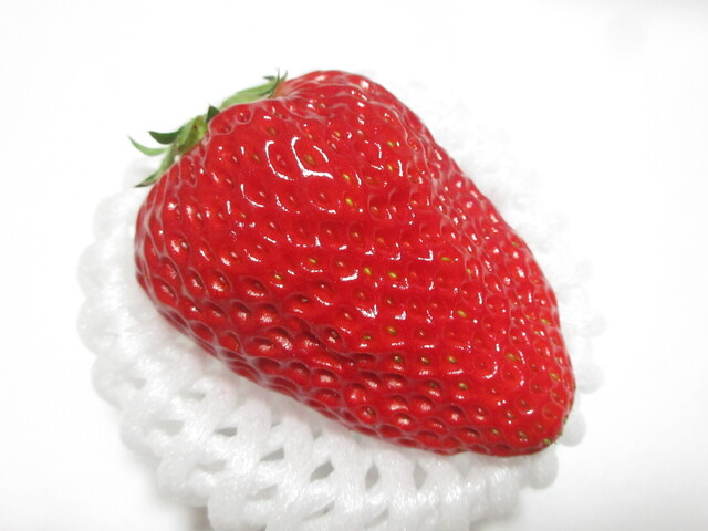 フルーツパーク DETO - 出戸浜（その他）の写真