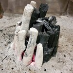 柳家 - ２種類の炭を使用