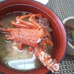 鷹匠 - 