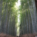 パンとエスプレッソと嵐山庭園 - 嵐山の竹林の小径は歩いて行ける距離です。