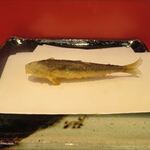 銀座 天一 - 稚鮎