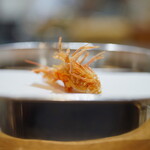 天ぷら 正心庵 - 車海老の頭：しっかり揚げ