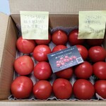 あまがいトマト園 - 桃太郎ネクスト&贅沢トマト・フルーティ