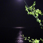 民宿 ふらっと - 