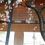 マンダリンオリエンタル 東京 - ロビーの桜