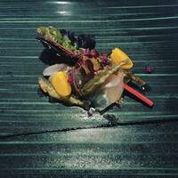 ラ ヴィオレッタ - 