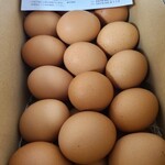 吉原たまご直売所 - 