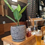 鶏や 梅の湯 - 店内