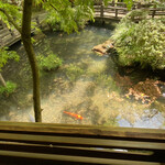 うかい鳥山 - 池には鯉