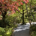 うかい鳥山 - 新緑が綺麗