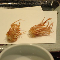 銀座 天一 博多店 - 季節の特別コース：海老の殻素揚げ