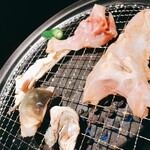 ふぐ料理 玄品 - 