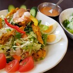 Namasute Ganesha Mizushi Maten - スペシャルサラダ・ベジタブルサラダ
                        単品大皿サラダはドレッシング4種から選べます。ブロッコリーとチキンのサラダをオーダーした際濃かったので、でもそれ以来、覚えていただいて、別皿でもってきてくださいます