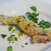 イルマーレ - Bコース：前菜②（ムギイカのフリット）