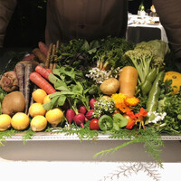 レフェルヴェソンス - アルチザン野菜