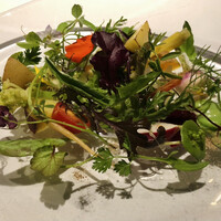 レフェルヴェソンス - 