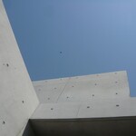 ビストロカラト - 青空にカラス