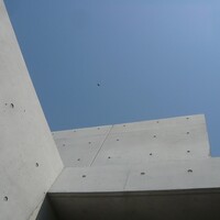 ビストロカラト - 青空にカラス