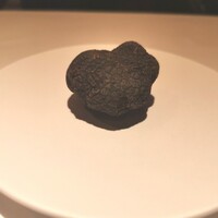 マルゴット エ バッチャーレ - 