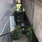 ラサ ボジュン - 2021年4月。訪問