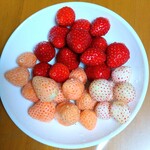 道の駅 ふたかみパーク當麻 - 