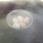 道の駅 しかべ間歇泉公園 - 夕食その他用に蒸し卵も作りました