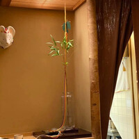 本湖月 -  本湖月 -