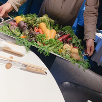 レフェルヴェソンス - 