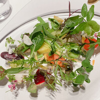 レフェルヴェソンス - 