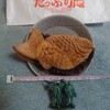 Taiyaki Hitosuji Tappuri An - たいやき　全長12cm　重量150g